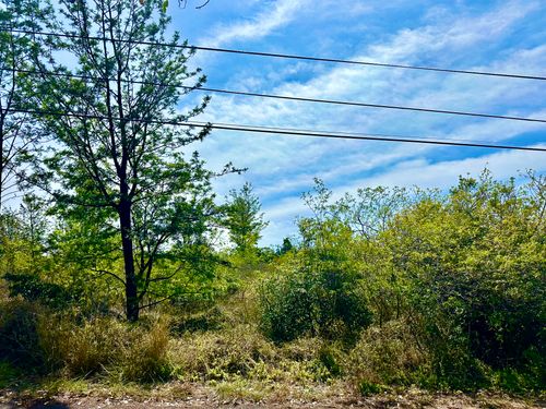92-8314 Bamboo Ln, OCEAN VIEW, HI, 96737 | Card Image