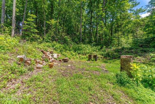229 Sonshine Ridge Rd, Cosby, TN, 37722-3094 | Card Image