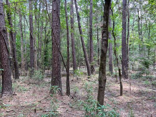 0 County Line Rd, Livingston, TX, 77351 | Card Image