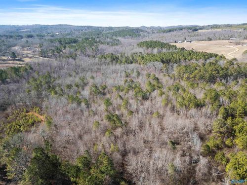 24 Acres Blanton Road, Gadsden, AL, 35904 | Card Image
