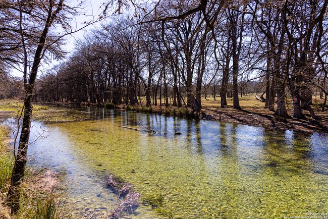 2350 Little Dry Frio Rd, Home with 0 bedrooms, 0 bathrooms and null parking in Rio Frio TX | Image 25