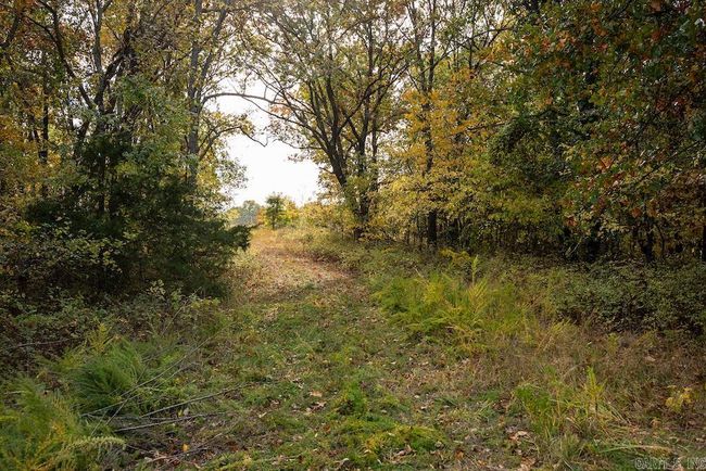 8 County Road 663, Home with 0 bedrooms, 0 bathrooms and null parking in Oak Grove AR | Image 6