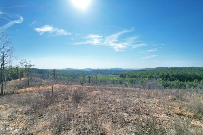 360 County Road 963, Home with 0 bedrooms, 0 bathrooms and null parking in Calhoun TN | Image 5