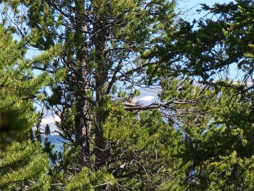 55 Peaceful Ct, FAIRPLAY, CO, 80440 | Card Image