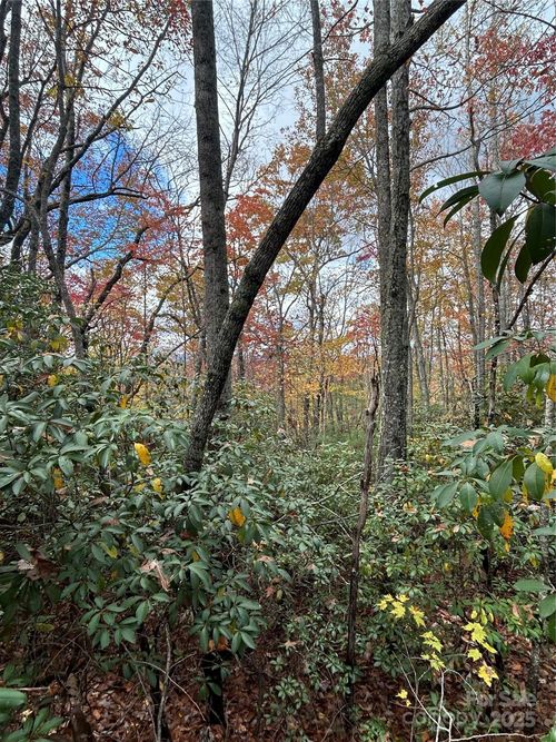 TBD High Peak Rd, Hendersonville, NC, 28739 | Card Image