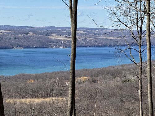 0 Satterly Hill Rd, Burdett, NY, 14818 | Card Image