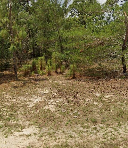 14214 Sw 60th Ter, Ocala, FL, 34473-5369 | Card Image
