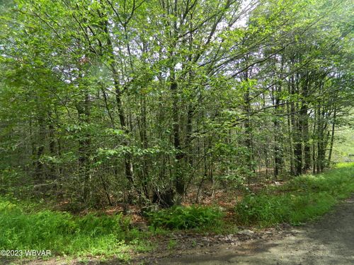 lot-16-PARCEL 008 Eagles Mere, MUNCY VALLEY, PA, 17758 | Card Image