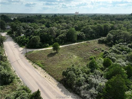 Lots 1&3 Fir Drive, Caldwell, TX, 77836 | Card Image