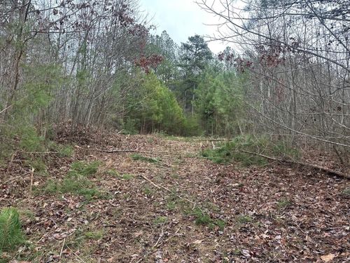 523 Browns Hollow Rd, Tracy City, TN, 37387 | Card Image