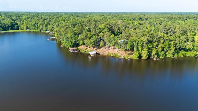 1007 Williams Landing Rd, House other with 3 bedrooms, 3 bathrooms and null parking in TALLAHASSEE FL | Image 69