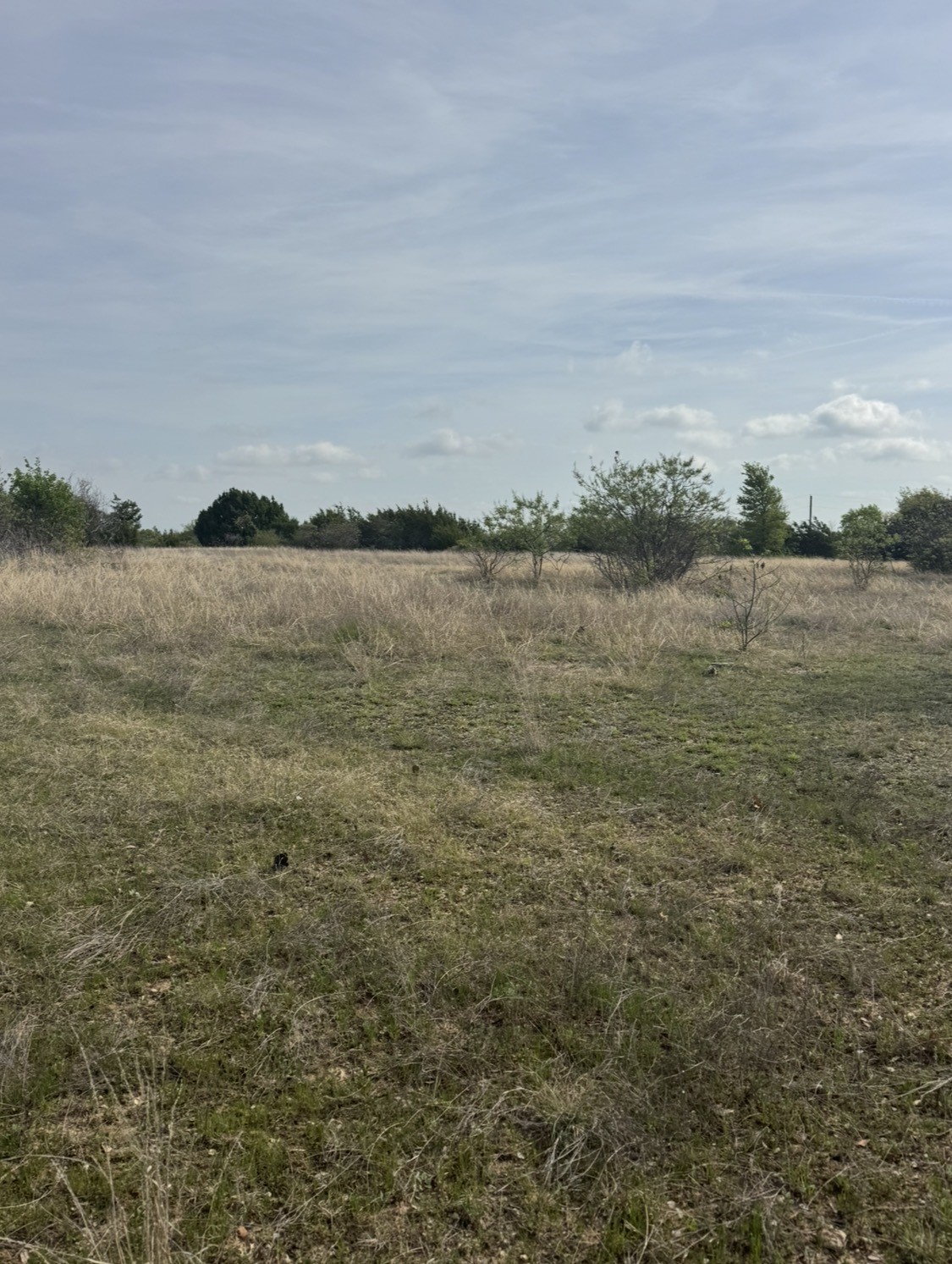 Land in Weatherford 5