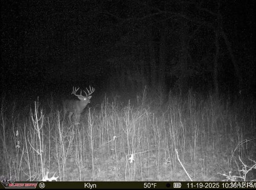 0 County Road 700 North, Golden Gate, IL, 62843 | Card Image