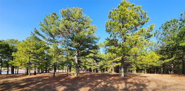 5253 S Research Rd, Home with 0 bedrooms, 0 bathrooms and null parking in Lane OK | Image 53
