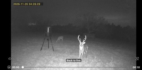 0000 E 1410 Rd, Holdenville, OK, 74848 | Card Image