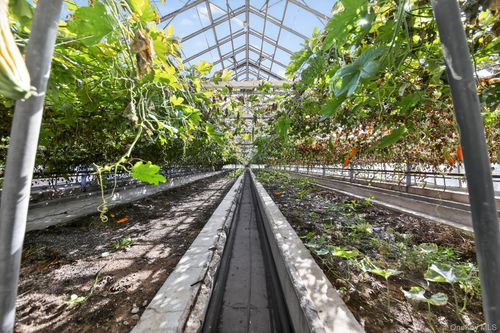 60 Bierstine Ln, Pine Island, NY, 10969-1923 | Card Image