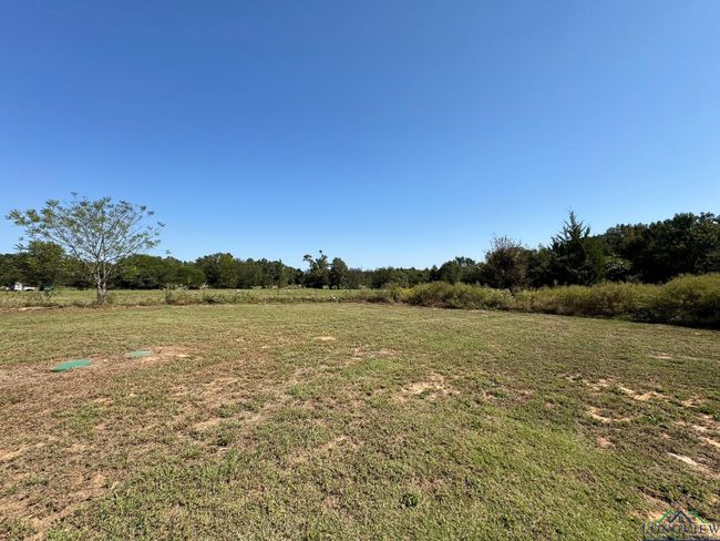 39 County Road 1206, House other with 3 bedrooms, 2 bathrooms and null parking in Daingerfield TX | Image 27