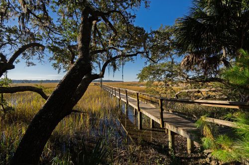 8525 Middleton Point Ln, Edisto Island, SC, 29438-6614 | Card Image