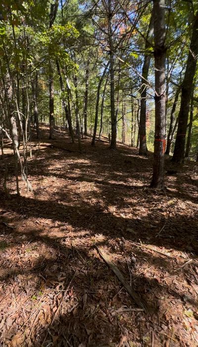 Lot 26 Red Tail Lane, Home with 0 bedrooms, 0 bathrooms and null parking in Morganton GA | Image 3