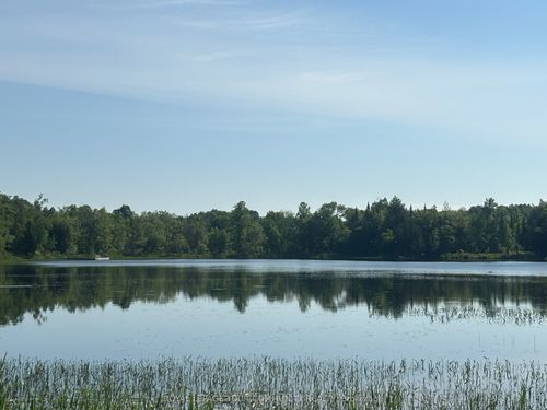 81 Stoney Rd, Mckellar, ON, P2A0B5 | Card Image