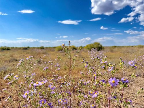 8 Sangre De Cristo, Mosca, CO, 81146 | Card Image