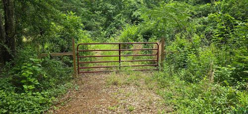 331 Red Maple Rd, Gilmer, TX, 75644 | Card Image