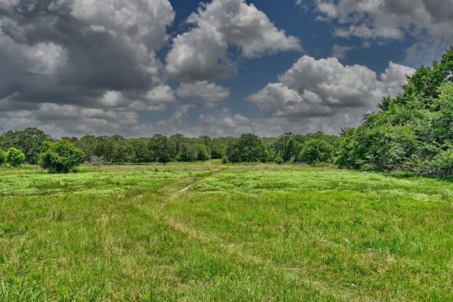 View of wooded area featuring a rural view | Image 22