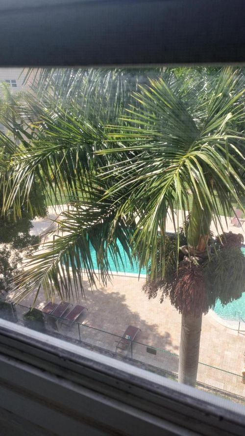 apt-506-218 Ne 12th Ave, Hallandale Beach, FL, 33009-4563 | Card Image
