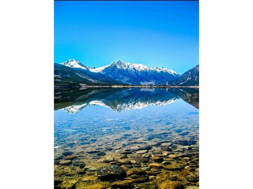 550 Cedar Dr, Leadville, CO, 80461-9244 | Card Image