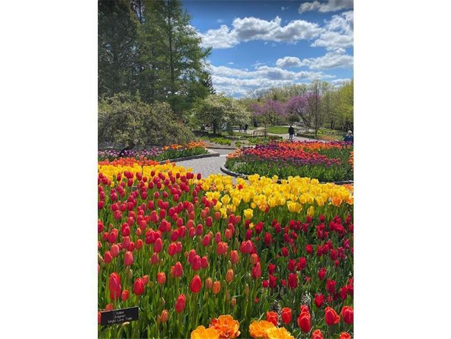 Landscape Arboretum - Just a hop skip and a jump away. Enjoy the myriad of trails and foliage to explore. | Image 42