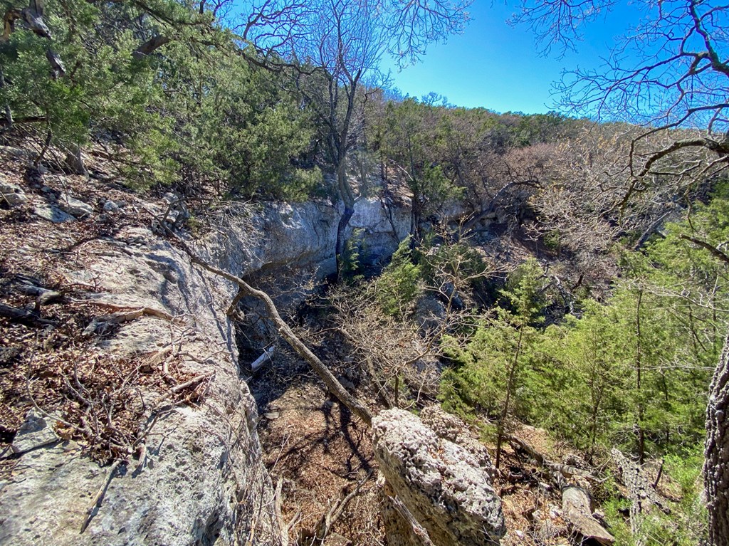 Farm in Kerrville 4