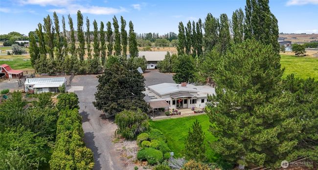 Great windbreaks surround this beautiful property. | Image 37