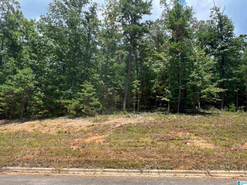 34-845 Redhawk Rdg, SPRINGVILLE, AL, 35146-1129 | Card Image