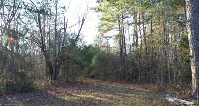00 Farmstead Rd, Home with 0 bedrooms, 0 bathrooms and null parking in Seagrove NC | Image 12