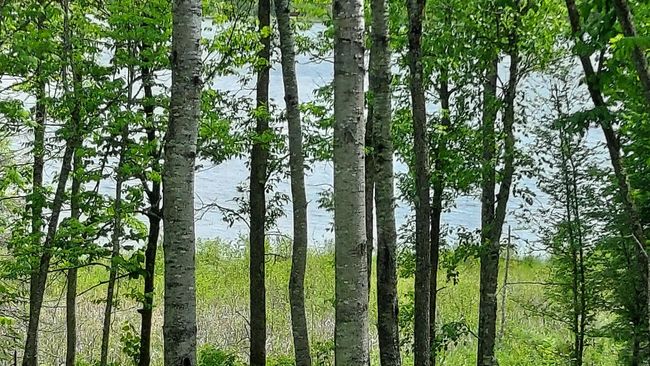 View of lake from cabin.jpg | Image 22