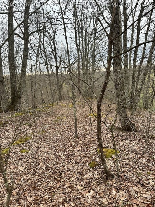0 Pleasantview Dr, Home with 0 bedrooms, 0 bathrooms and null parking in Elkview WV | Image 9