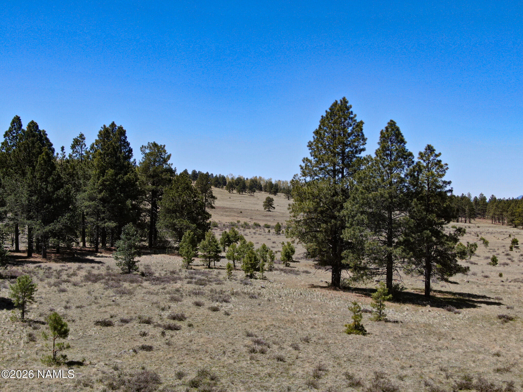 Land in Flagstaff 5