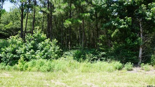 TBD Old Highway 80, Hawkins, TX, 75765 | Card Image