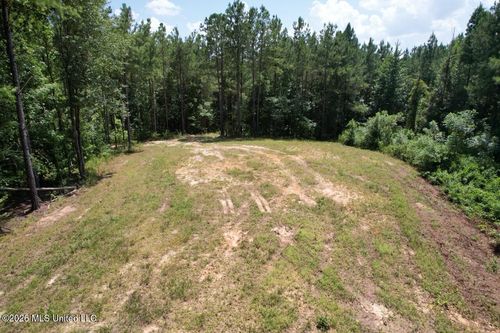 399 Ne Dummyline Road, McCall Creek, MS, 39647 | Card Image
