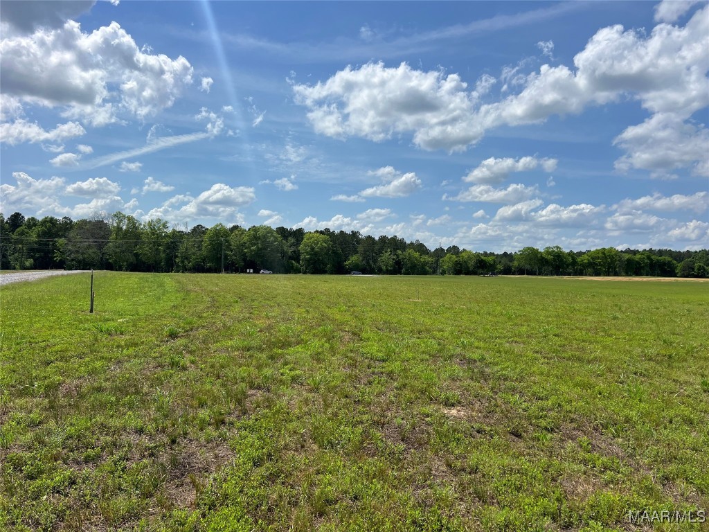 4209 Marler Rd, Pike Road, AL 36064