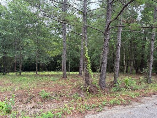 13 Pocahontas Ln, Carriere, MS, 39426-8157 | Card Image