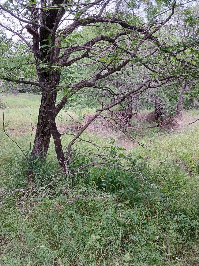 8112 Fm 2114, Home with 0 bedrooms, 0 bathrooms and null parking in Hubbard TX | Image 17