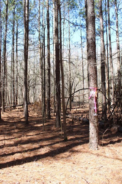 0 Jackson Gin Rd, Harrison, GA, 31035 | Card Image