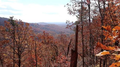 Lot 109B Folkstone Rd, Talking Rock, GA, 30175 | Card Image