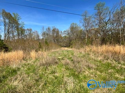 19 acres County Road 148, Stevenson, AL, 35772 | Card Image