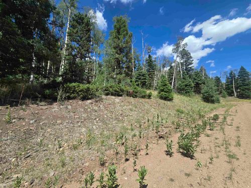 Lot 1302 Pleasant Valley Pl, Angel Fire, NM, 87710 | Card Image