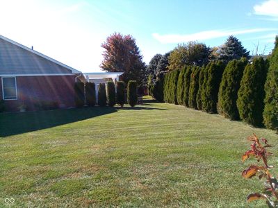 Row of healthy arborvitaes provide screening from neighbors and winter greenery. | Image 3