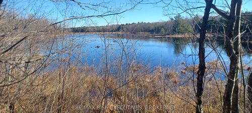 LT 21 Con 9 Kaladar N/A, Addington Highlands, ON, K0H2G0 | Card Image