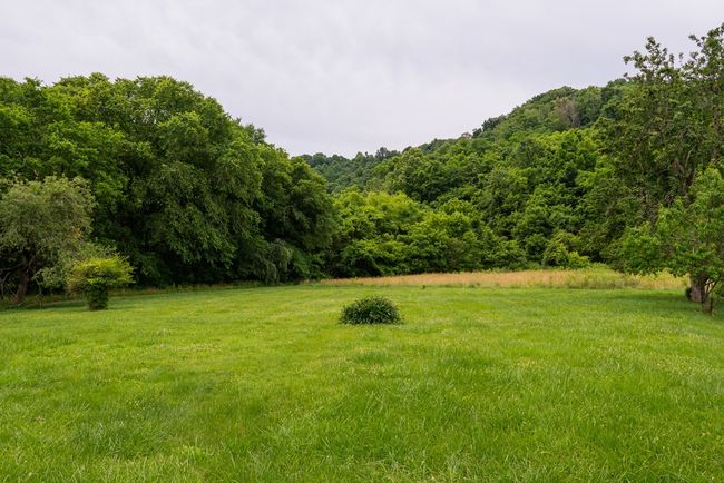280 Blue Hill Ln, Home with 3 bedrooms, 1 bathrooms and 1 parking in Gainesboro TN | Image 38