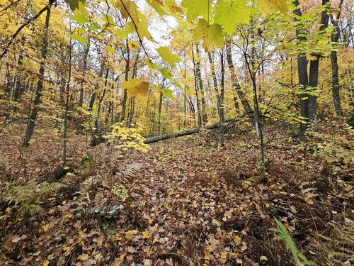 Lot 26 Block 1 Westward Ho, Garrison, MN, 56450 | Card Image